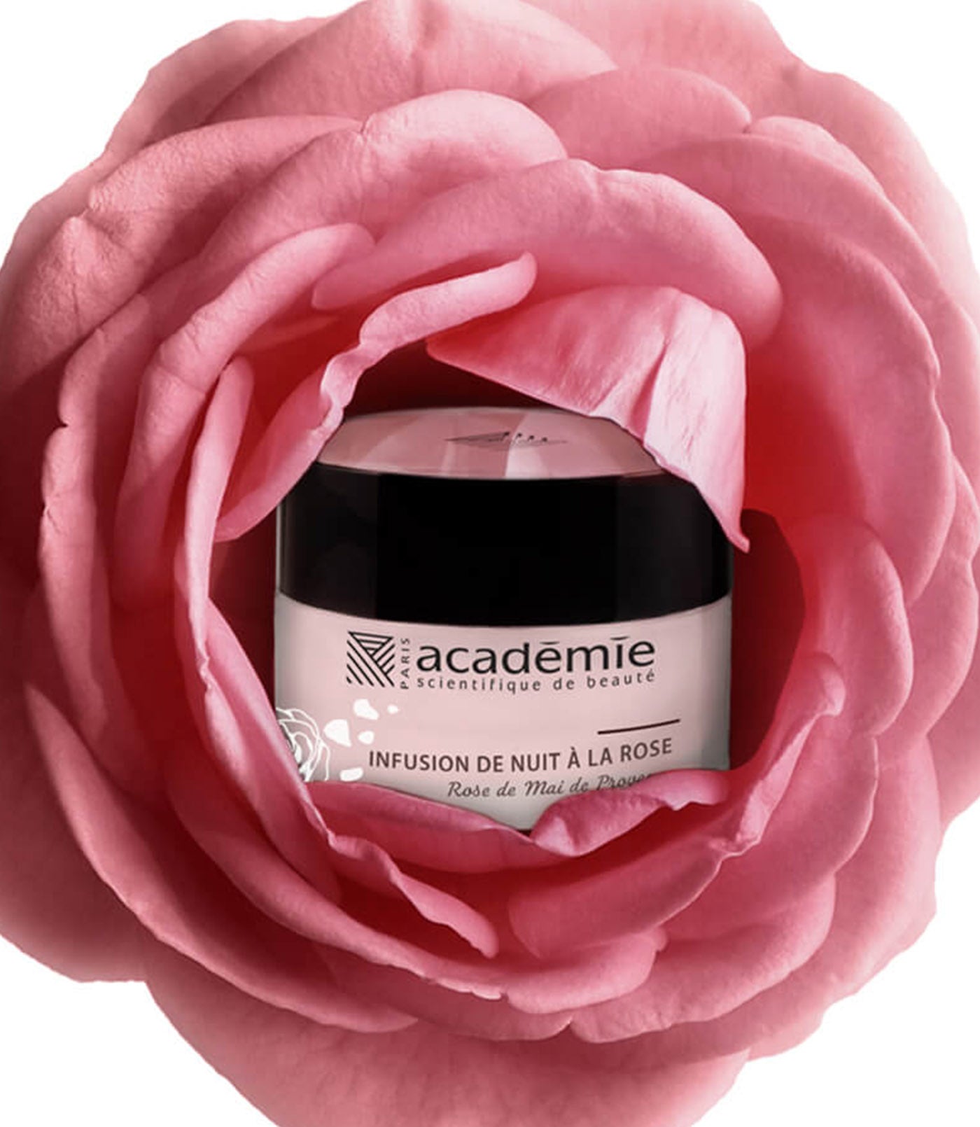 Night Infusion Rose Cream